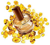 WARM AMBER AGUA DE COLONIA