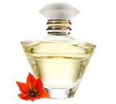 JORNEY EAU PARFUM